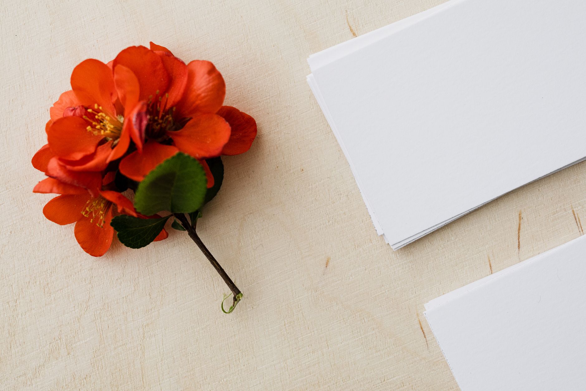 Printed logo sketches, colour swatches and a coffee bag mockup spread across a wooden desk