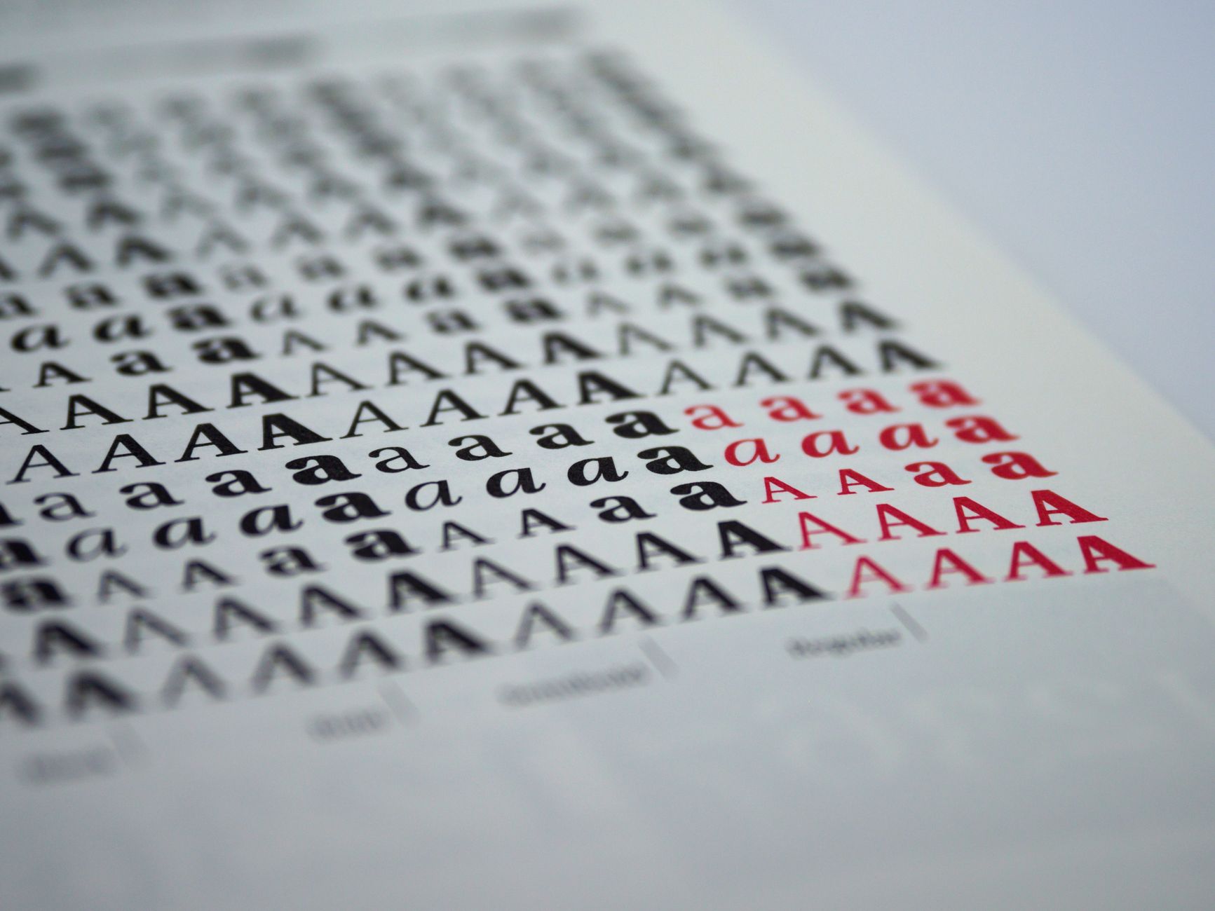 Printed typography and colour samples pinned to a studio wall