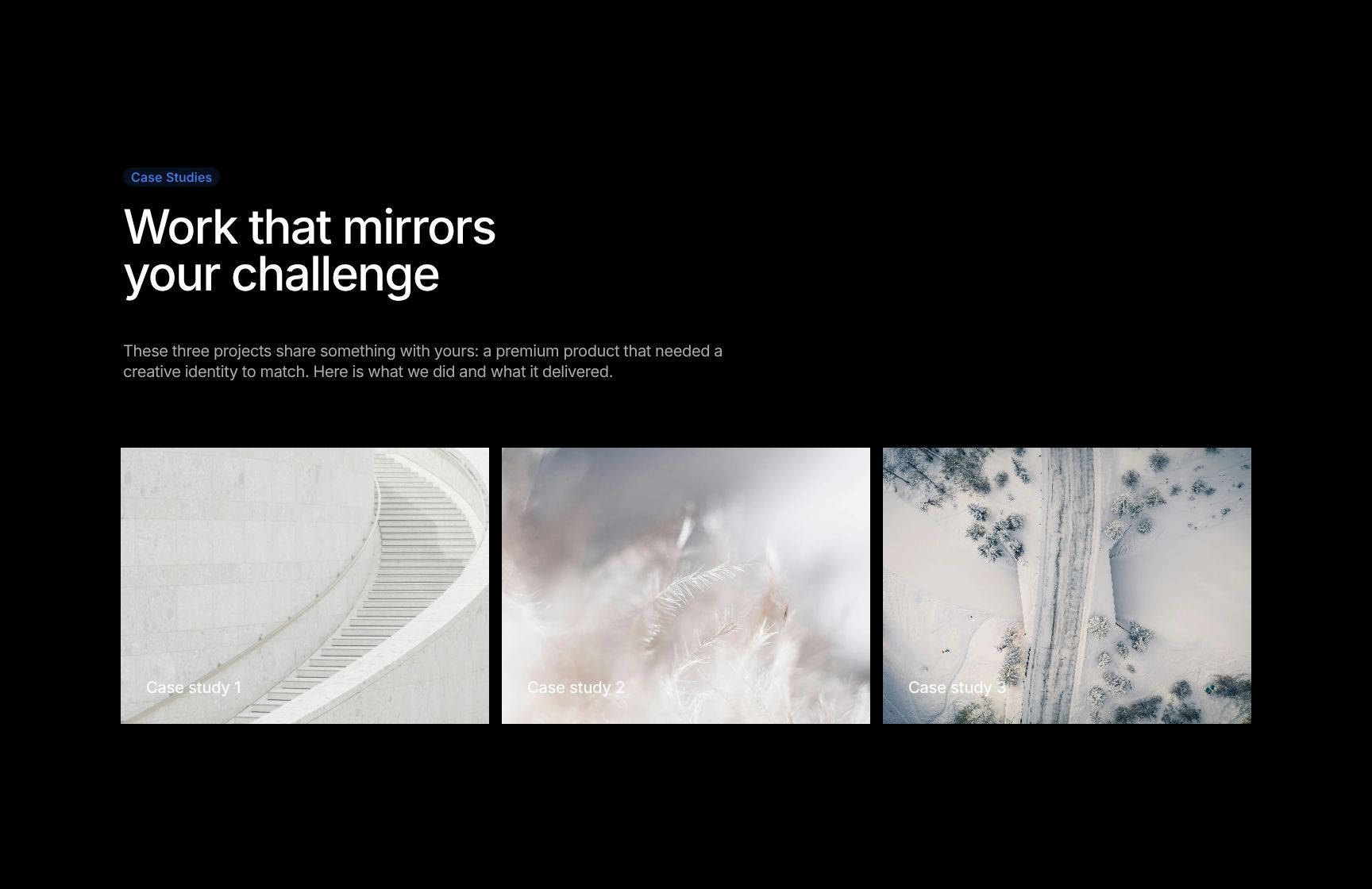 Relevant Case Studies & Portfolio Examples