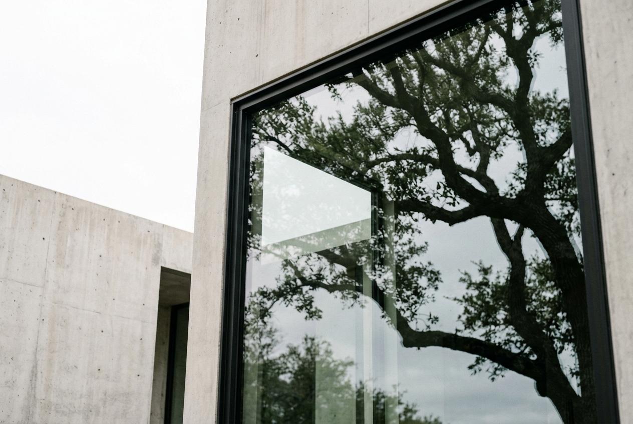 Glazing reflecting live oaks