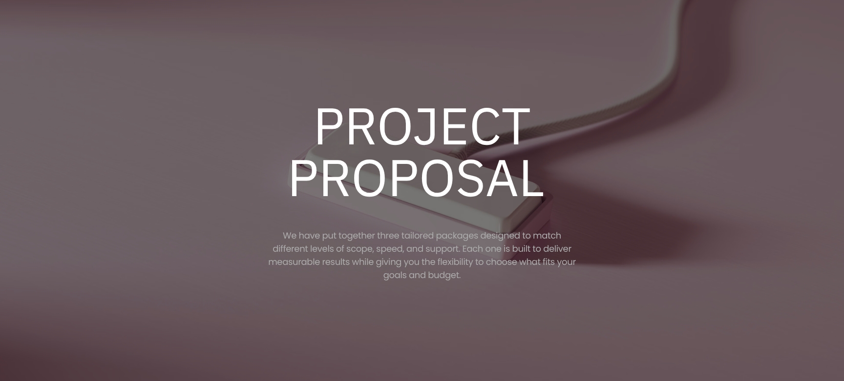 Three-Tier Project Proposal Hero with Package Overview