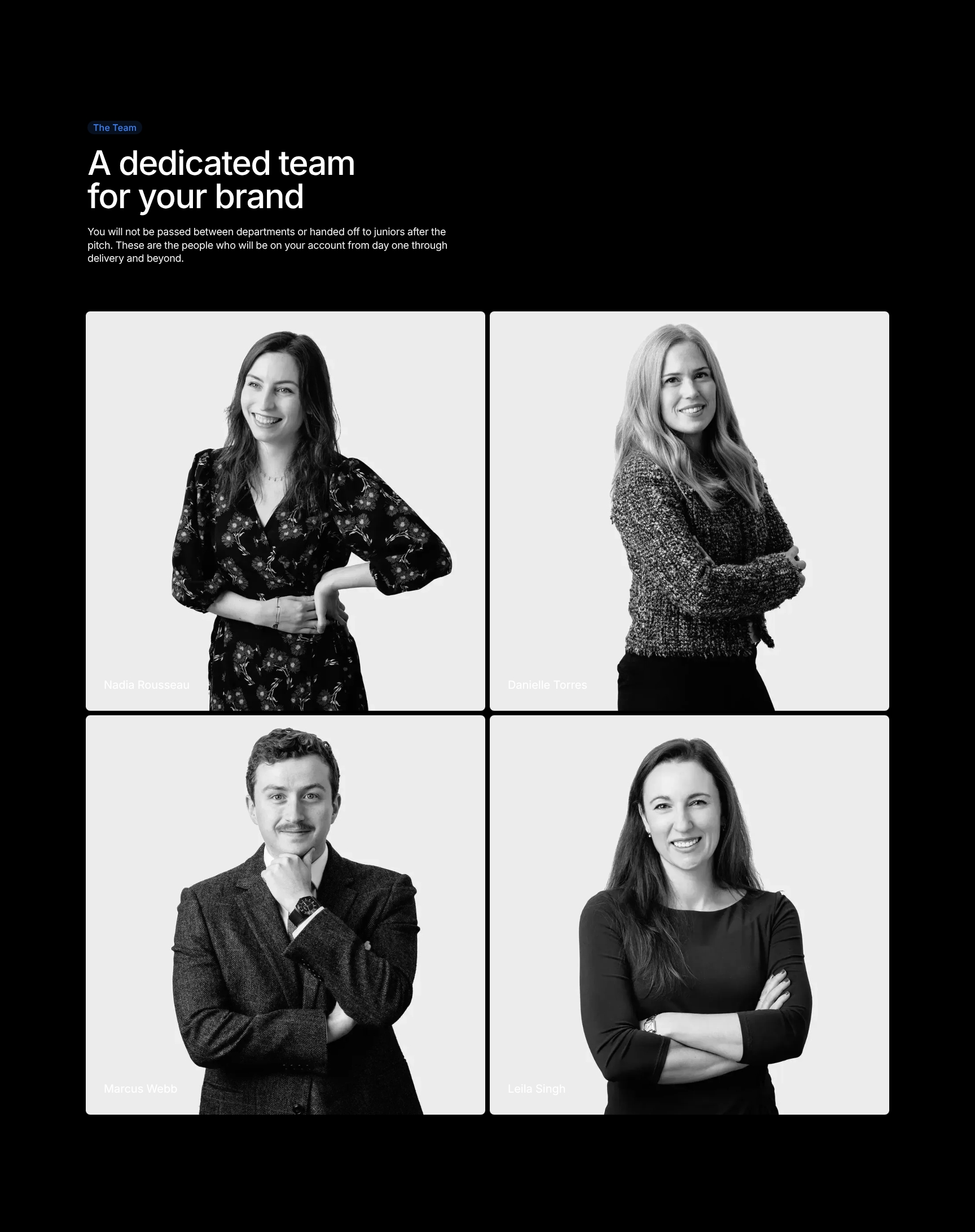 Dedicated Team Profiles & Account Leadership