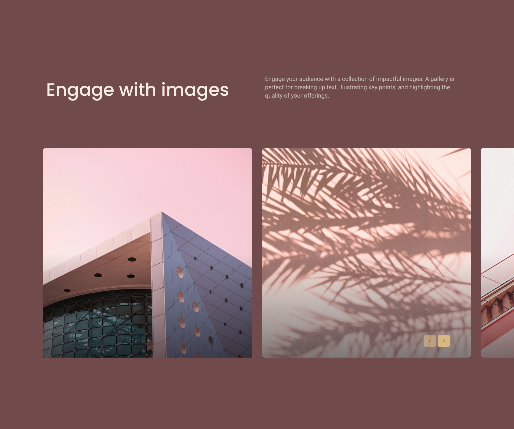 Visual Portfolio Gallery to Showcase Past Work