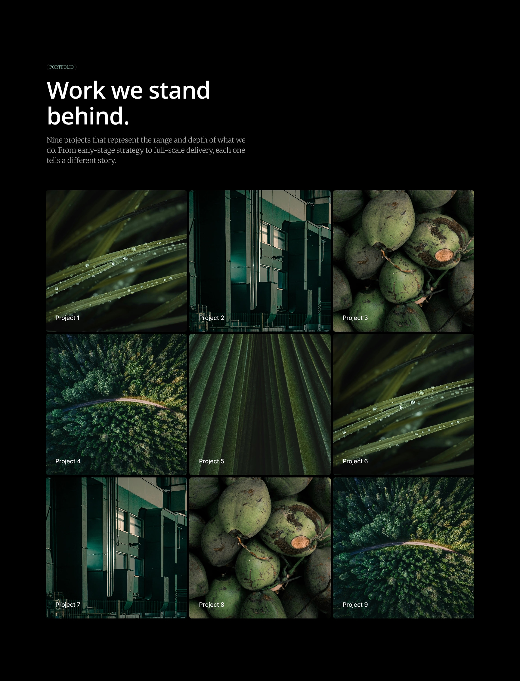 Featured Project Showcase - Visual Portfolio Grid